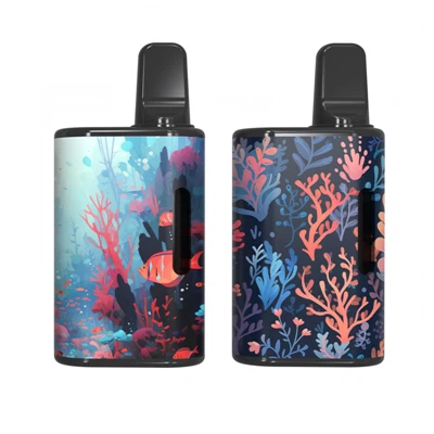 ה-CBD Vape הנטען הטוב ביותר|ארה"ב בריטניה 2 מ"ל 3 מ"ל D8 D9 Hhc שמן עבה לחמם מראש עט סיטונאי ריק 2 גרם חד פעמי מרסס סיגריות E.